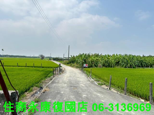 屏東農地-10