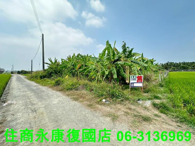 屏東農地-12