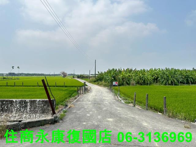 屏東農地-13