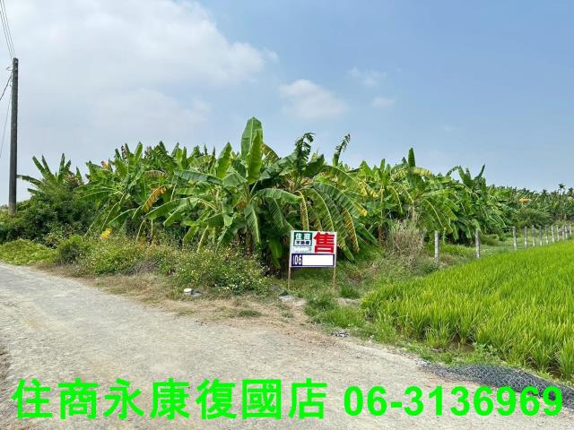 屏東農地-1