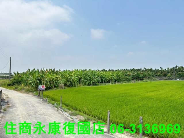 屏東農地-8