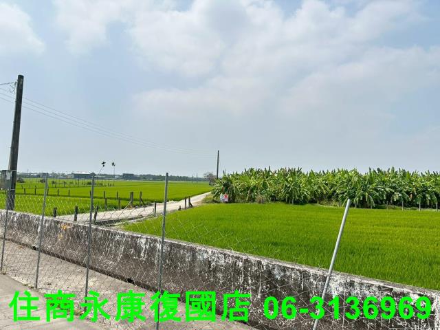 屏東農地-9