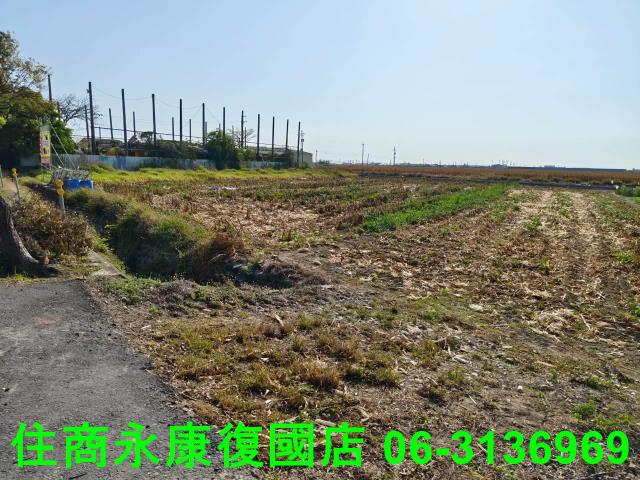 台南佳里農地-13