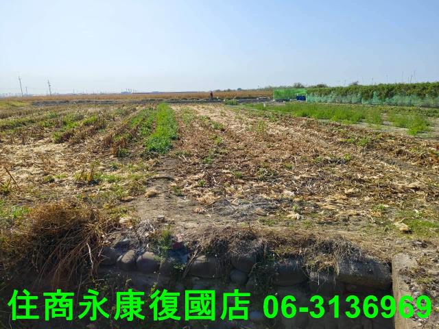 台南佳里農地-5