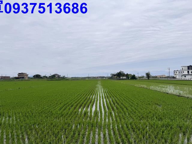 宜蘭壯圍農地-15