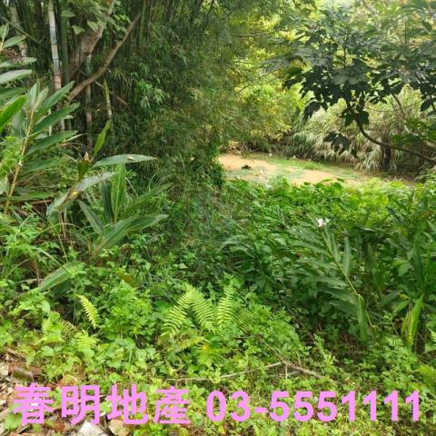 湖口農地-10