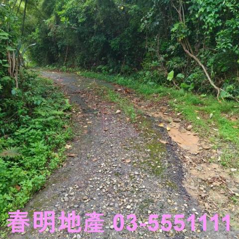 湖口農地-12