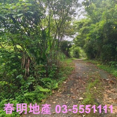 湖口農地-13