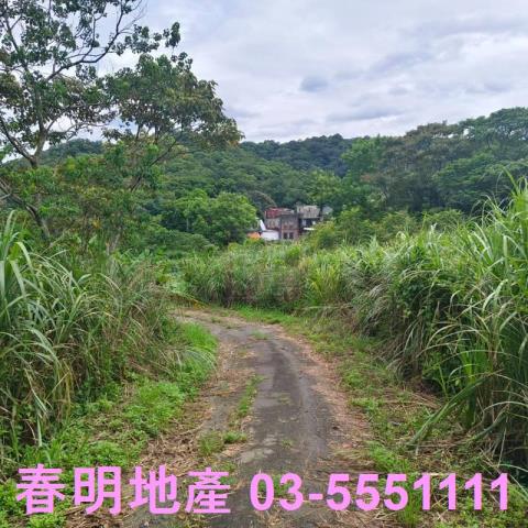 湖口農地-14