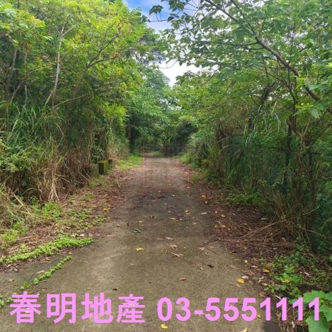 湖口農地-1