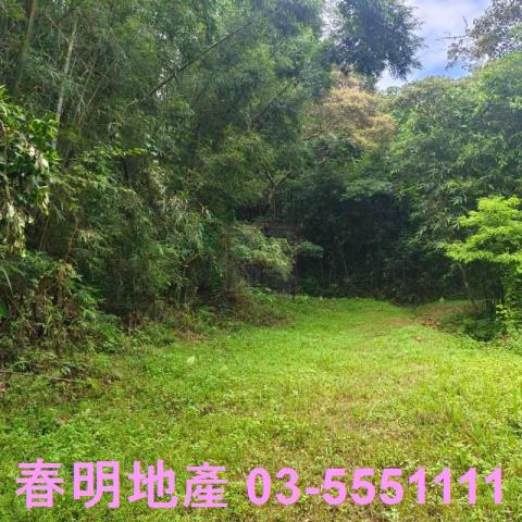 湖口農地-8