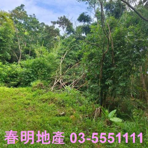 湖口農地-9