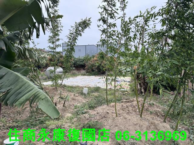 仁德農地-1