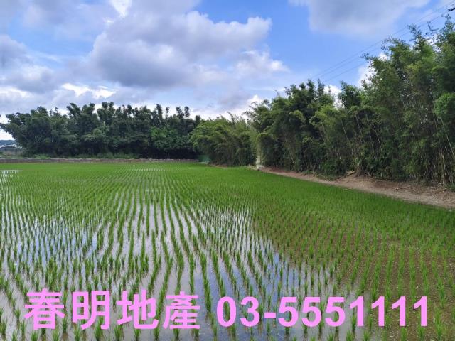 新竹農地-2