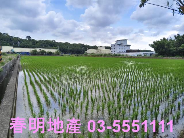 新竹農地-4
