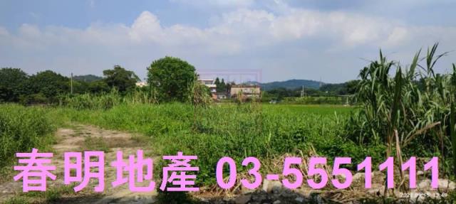 新竹新埔農地-4