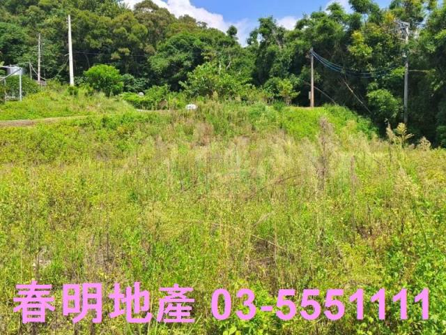 寶山農地-1