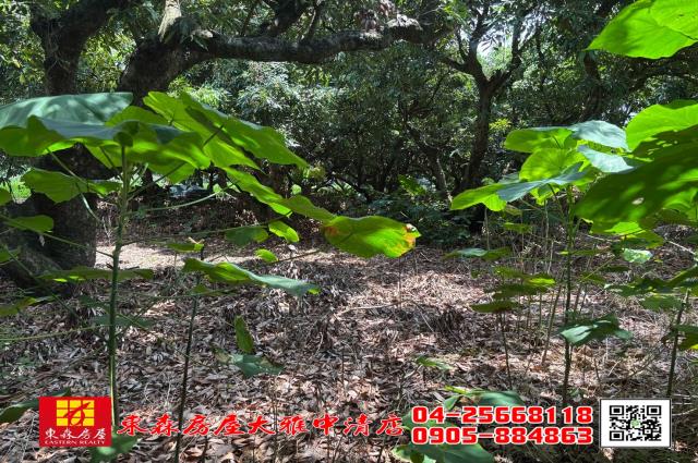 神岡農地-7