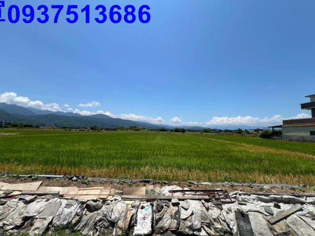 宜蘭農地-4