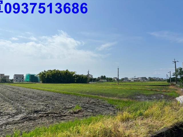 宜蘭農地-4