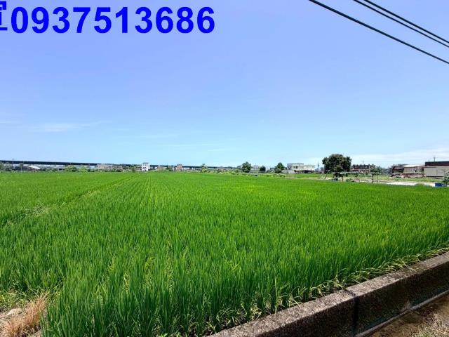 宜蘭宜蘭市農地-3