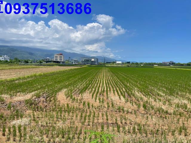 宜蘭礁溪農地-8