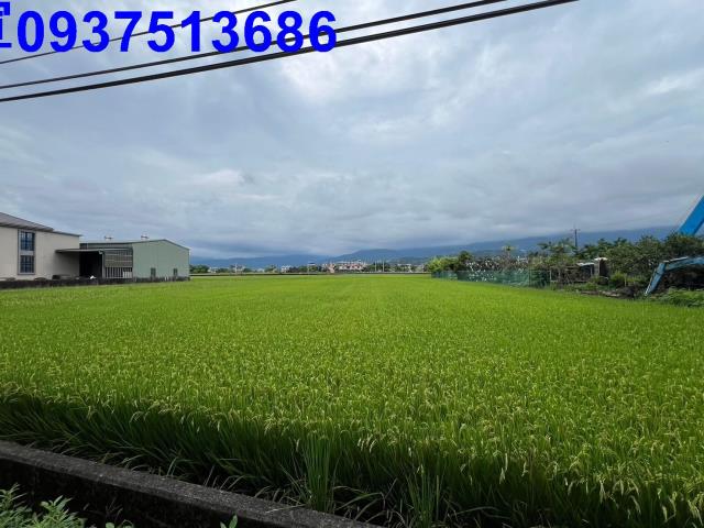 宜蘭礁溪農地-9