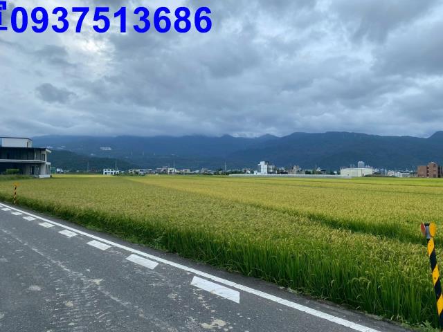 宜蘭礁溪農地-1