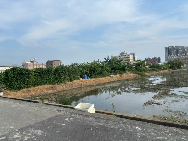台中農地-4