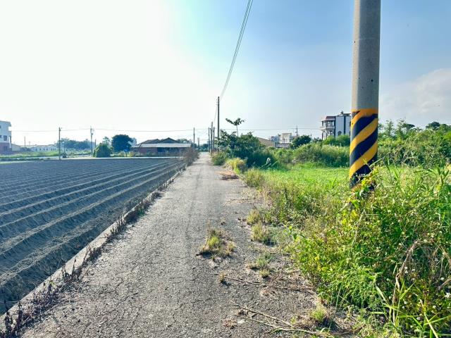 水林農地-7