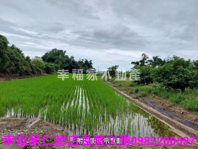 後壁農地-11