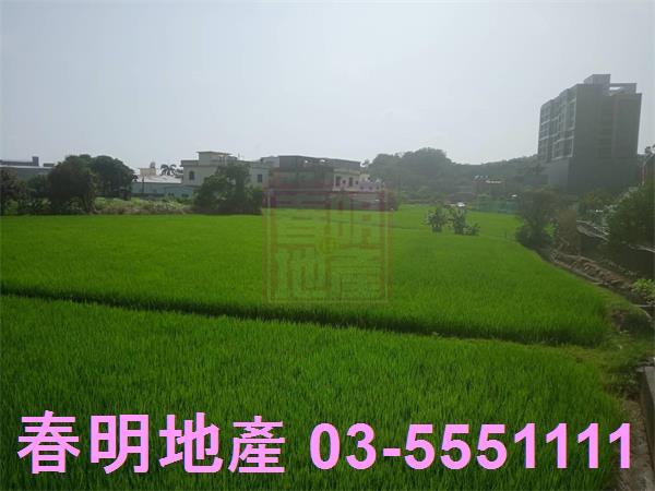 竹北農地-5