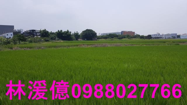 桃園農地-2