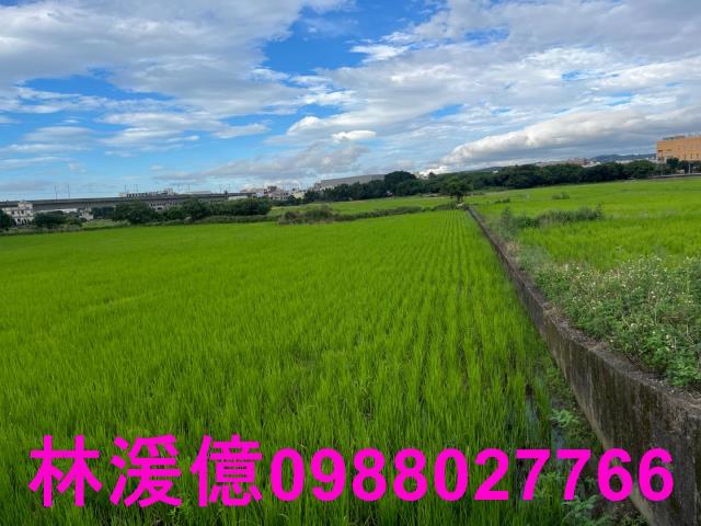 桃園農地-3