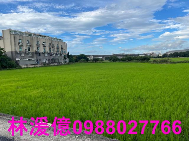 桃園農地-4