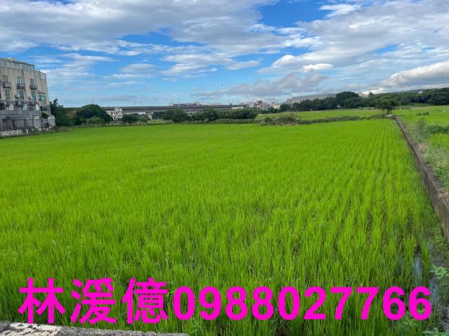 桃園農地-5