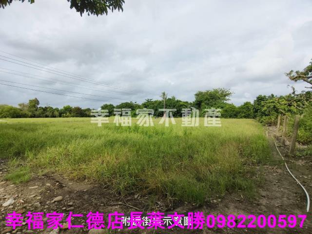 台南善化農地-12