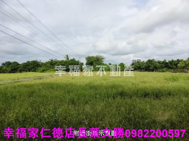 台南善化農地-3