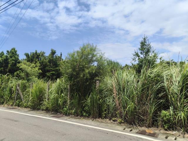 苗栗竹南農地-4