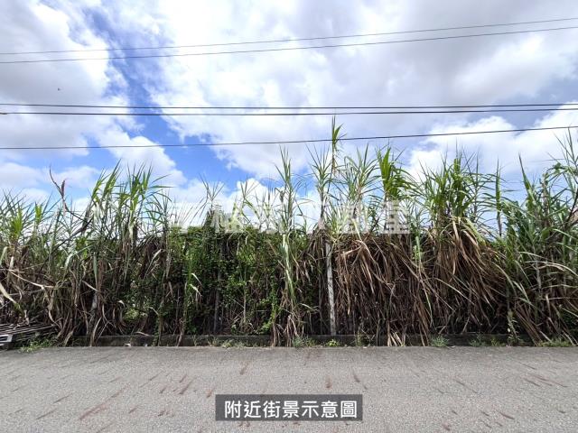 台南安定農地-9