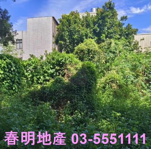 湖口建地-13