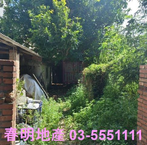 湖口建地-9