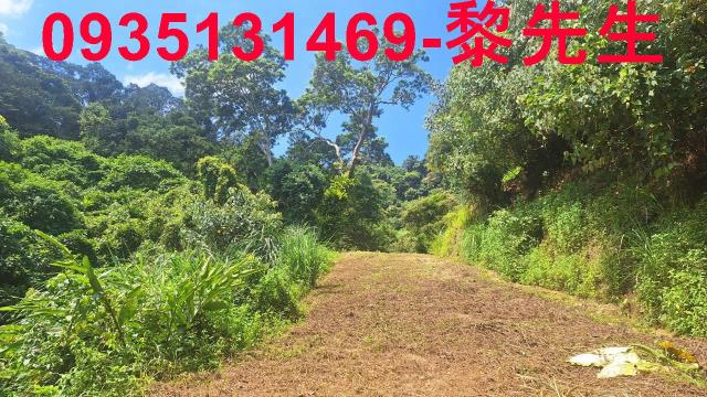 峨眉農地-4