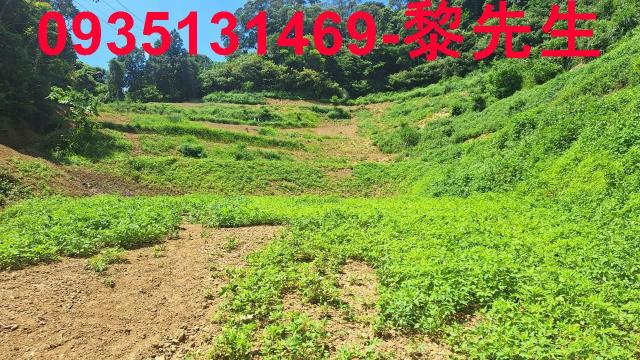 峨眉農地-1