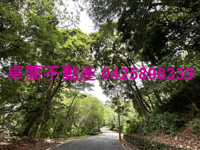 苗栗卓蘭農地-1