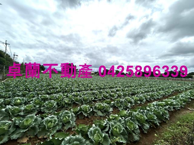 苗栗卓蘭農地-4