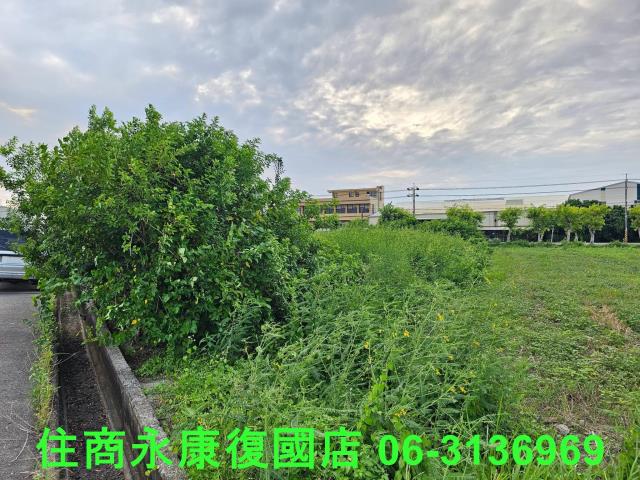 台南七股農地-4