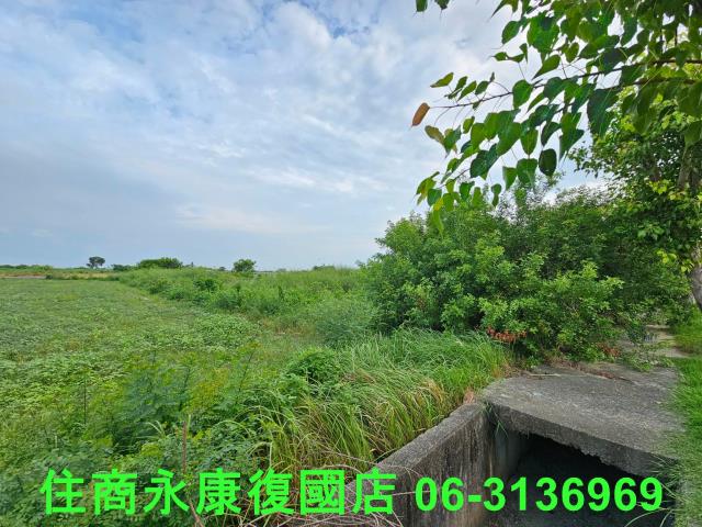 台南七股農地-8