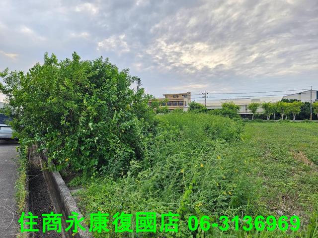 台南七股農地-4