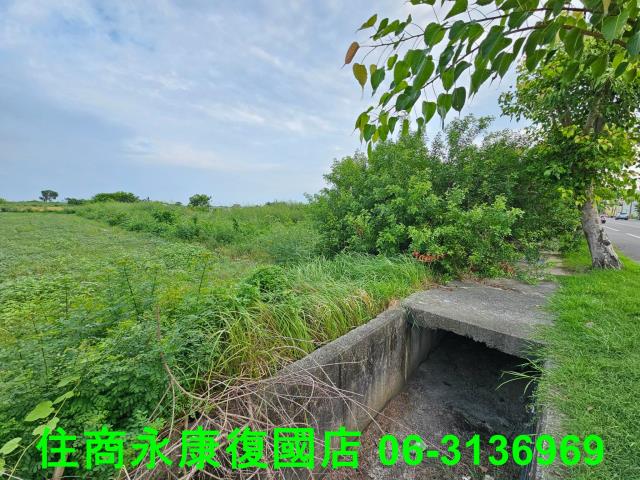 台南七股農地-7